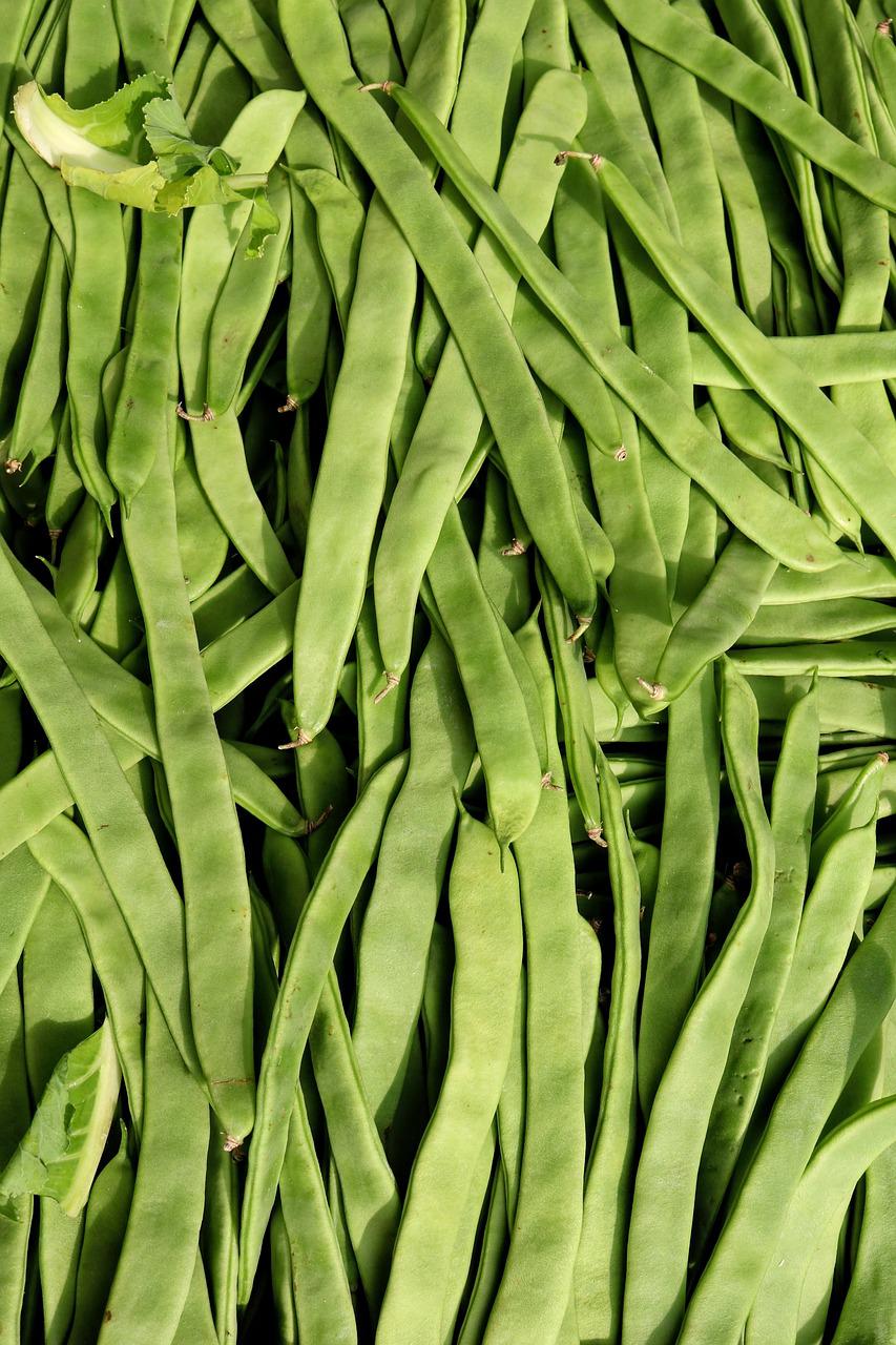 beans, food factory beans, green beans-3399804.jpg